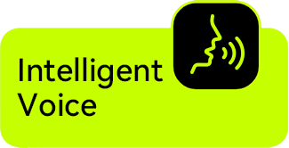 Smart Helmet Bluetooth Headset